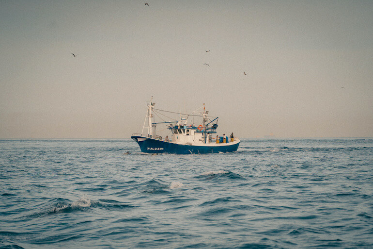 pesca sostenibile
