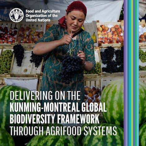 biodiversità in agricoltura