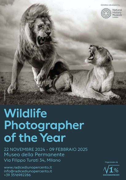 Edizione speciale del Wildlife Photographer of The Year