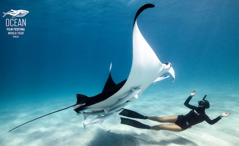 La bellezza degli oceani sui grandi schermi