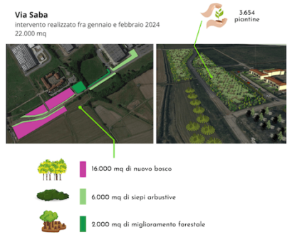 bando foreste