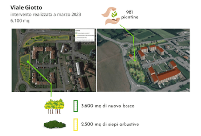 bando foreste