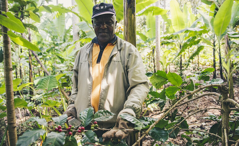 I cibi dimenticati dell’Africa