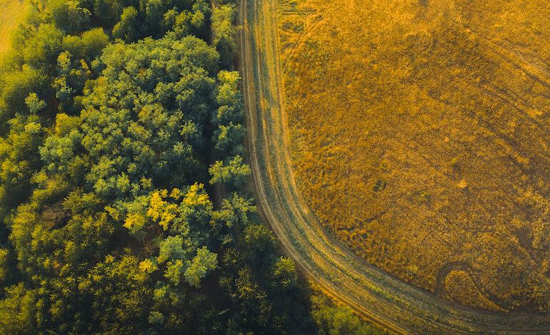Un attivismo al 100% per la biodiversità