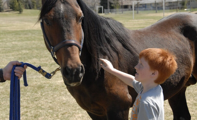 Stare con gli animali migliora la salute dei bambini