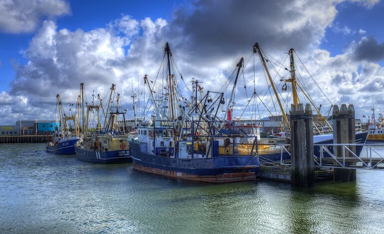 L’alimentazione a base di pesce è ormai un lusso ambientale