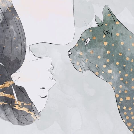 Chi è il gatto