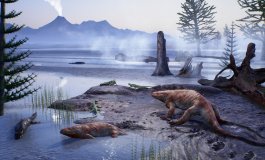 Dettagli inimmaginabili di un intero ecosistema fossilizzato