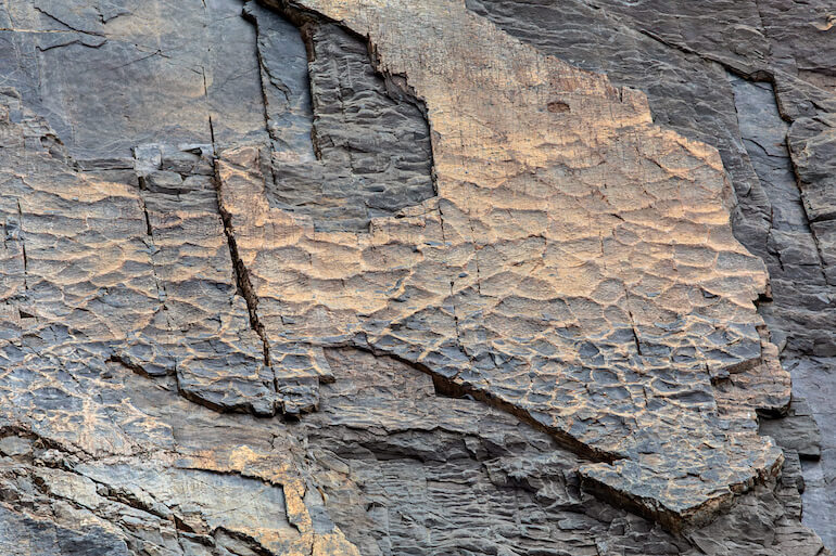 fossili orobie valtellinesi