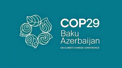 COP29