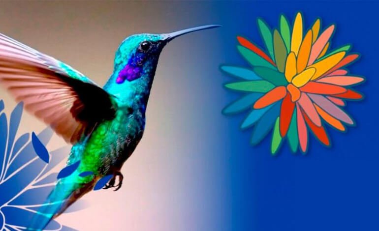 Il fallimento della COP16 sulla biodiversità