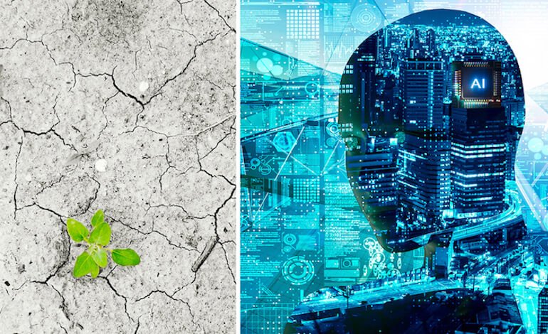 L’Intelligenza Artificiale per contrastare l’impatto dei cambiamenti climatici sul suolo