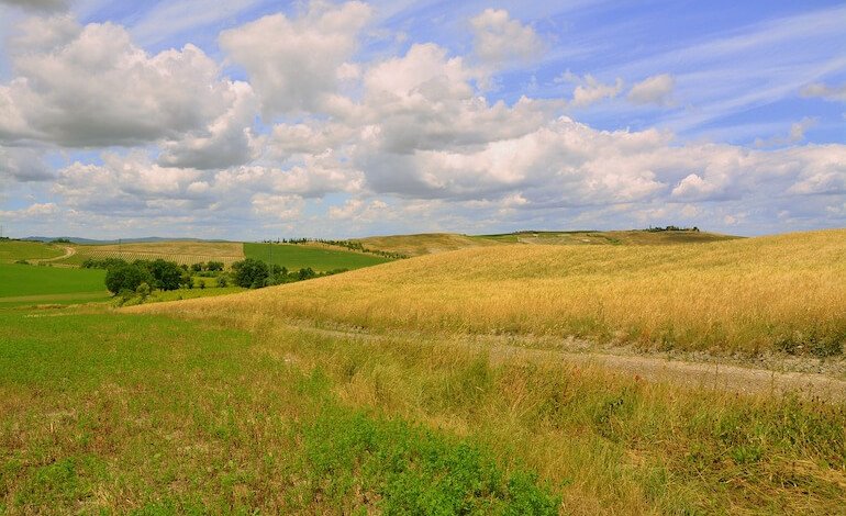 “Mission impossible”: il piccolo agricoltore