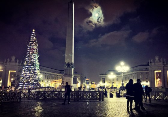 Salviamo gli alberi secolari dal taglio natalizio