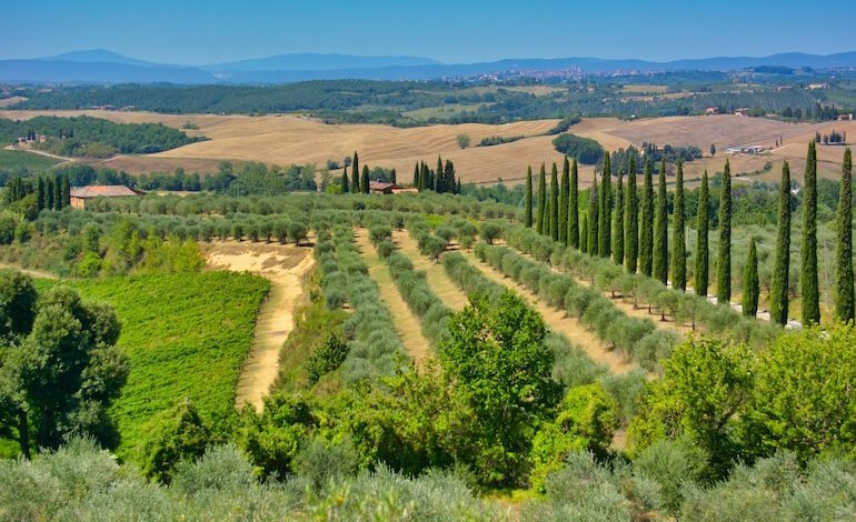 Giornata nazionale dell’agricoltura