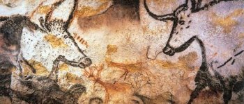 La storia ancestrale del bue domestico