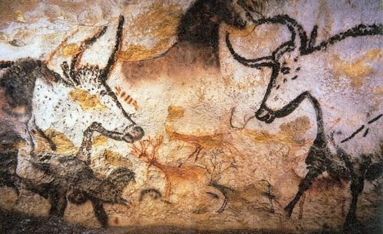 La storia ancestrale del bue domestico