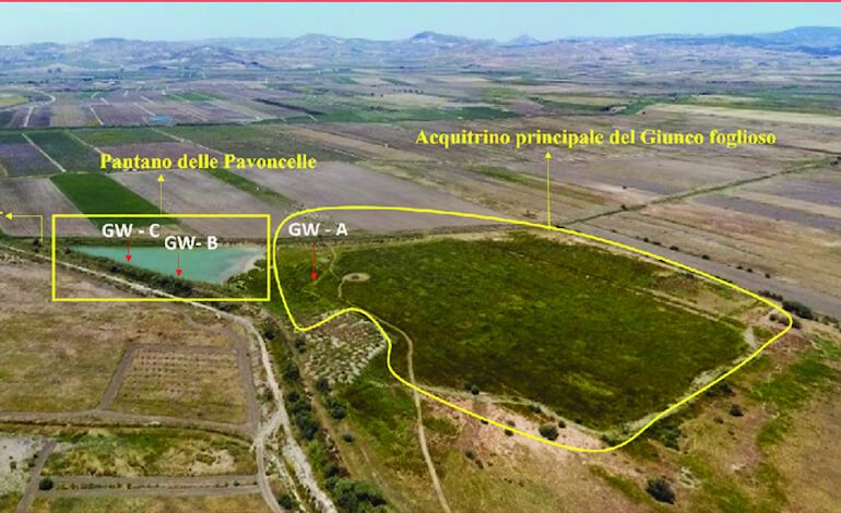 Il tesoro nascosto a Geloi Wetland