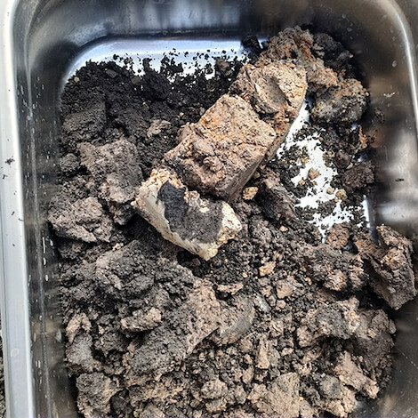 microplastiche nei terreni