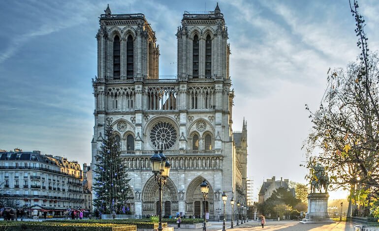 Nuova vita a Notre Dame, anche per la fauna