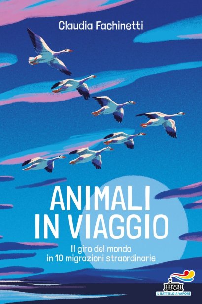 animali in viaggio