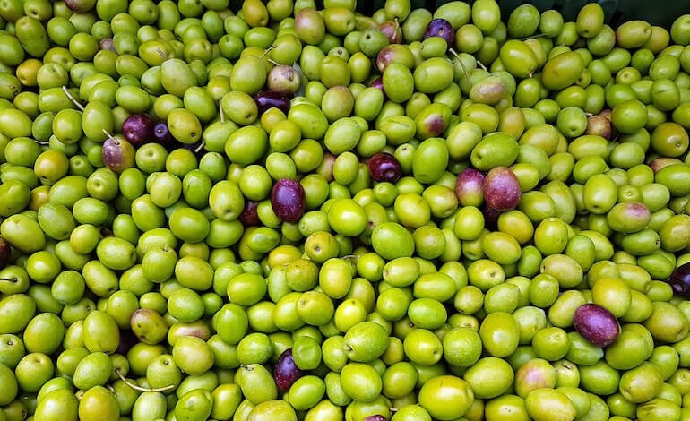 Una seconda vita per gli scarti alimentari