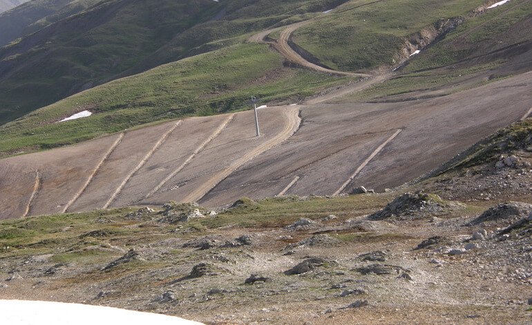 Molte piste da sci minacciano le specie d’alta quota