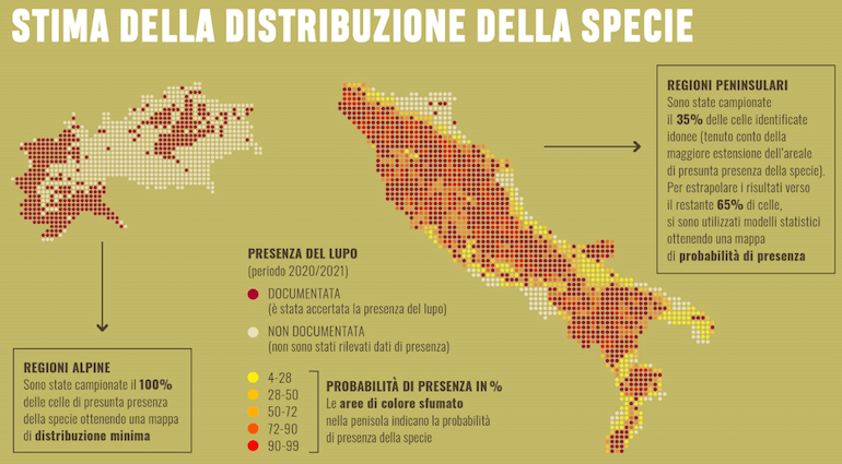 lupo cacciabile