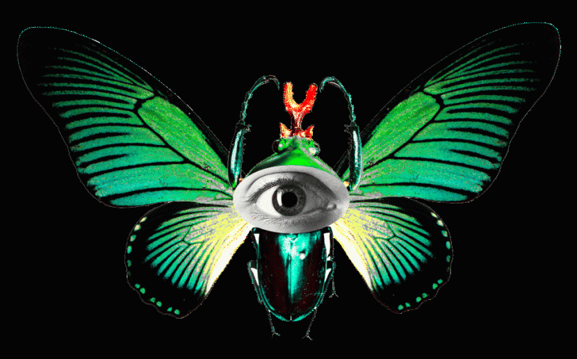 mostra biodiversità
