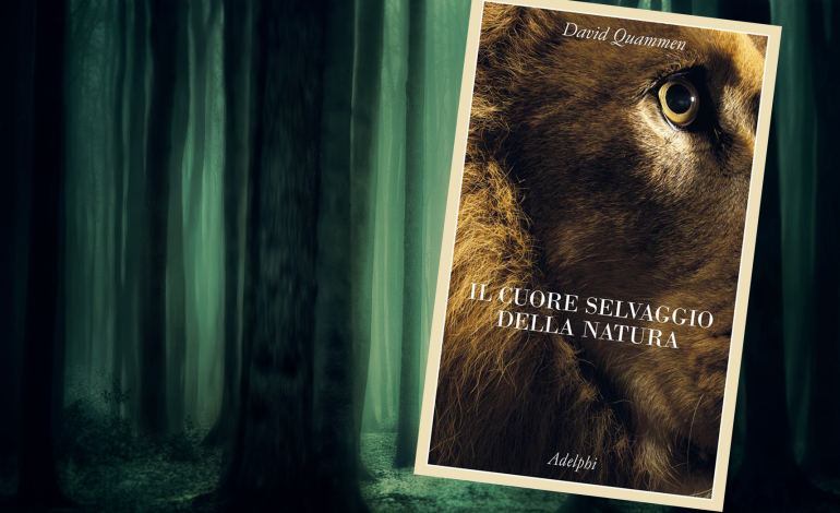 Sopravvivrà il cuore selvaggio della natura?
