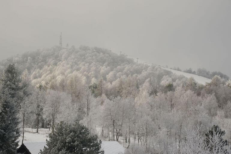 monte Arpone