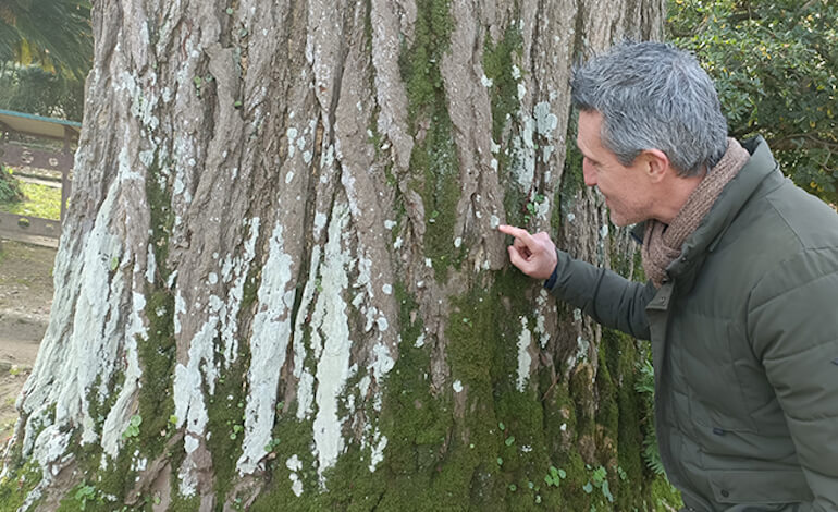 Lorenzo Peruzzi direttore Orto botanico Univ. di Pisa Lorenzo Peruzzi direttore Orto botanico Univ. di Pisa