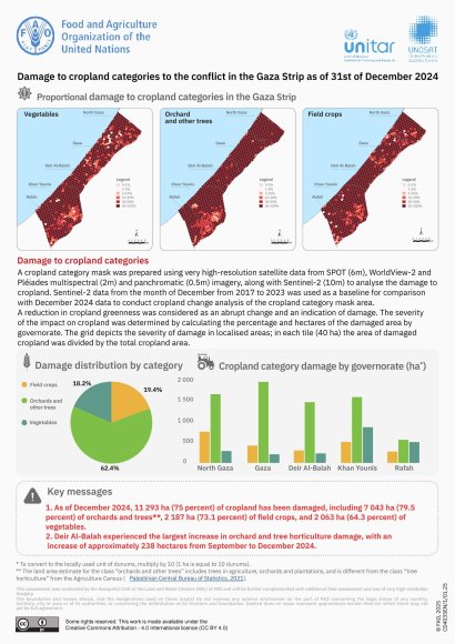 agricoltura a Gaza 