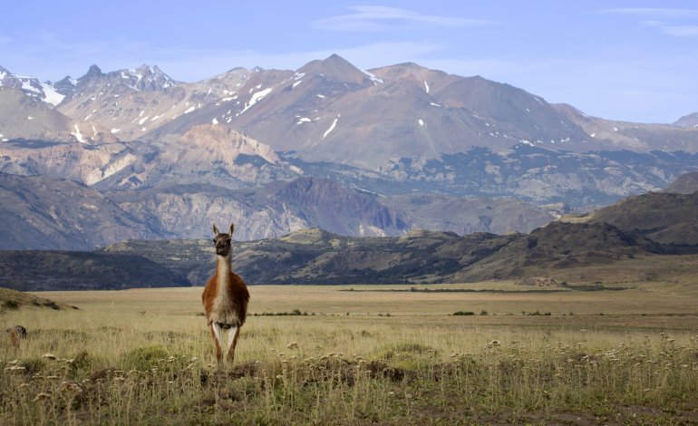 Rewilding, quando la natura si riappropria dei suoi spazi