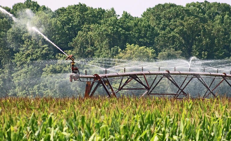 Diete più sostenibili per conservare le risorse idriche