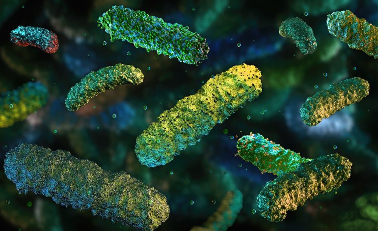 La salute del microbioma intestinale dipende dalla dieta