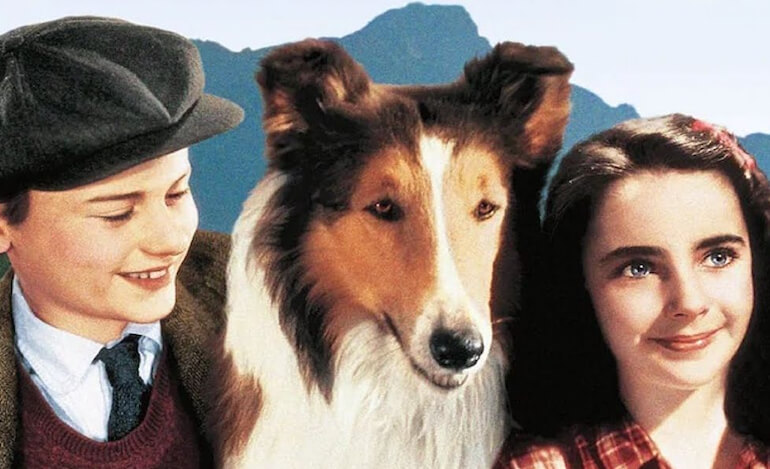 Anche i film devono educare al rispetto degli animali