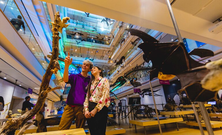 Il museo entra nel futuro
