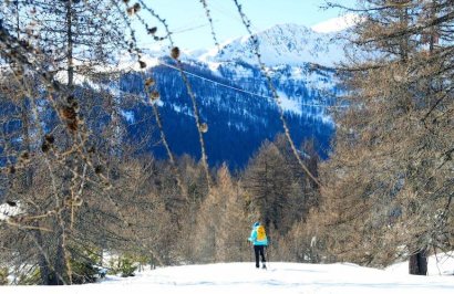 Mont du Parc