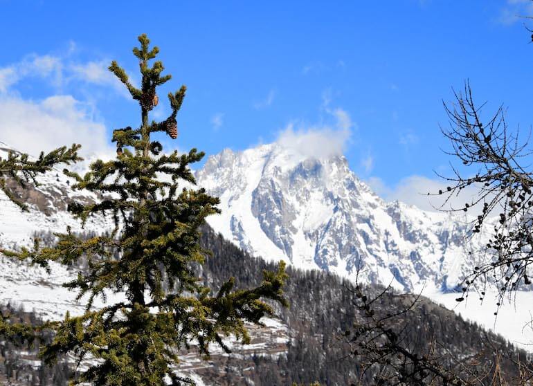 Mont du Parc