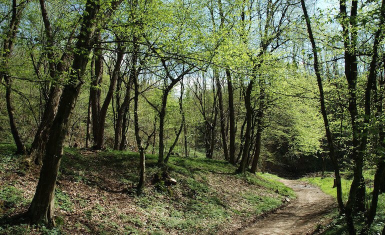 Gli eventi del Parco Regionale della Valle del Lambro