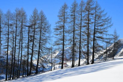 Petosan La Thuile