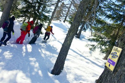Petosan La Thuile