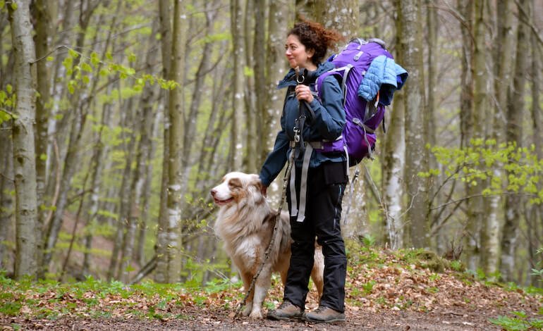 In cammino con il cane