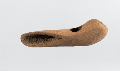 palco di un cervo Cervus elaphus