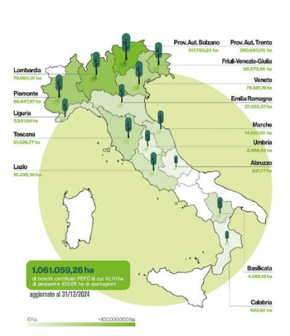 sostenibilità forestale