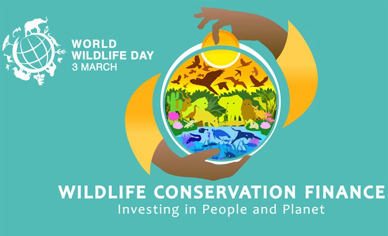 Giornata mondiale della fauna selvatica