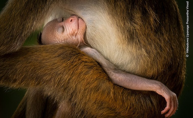 Gli scatti più belli in mostra in Italia