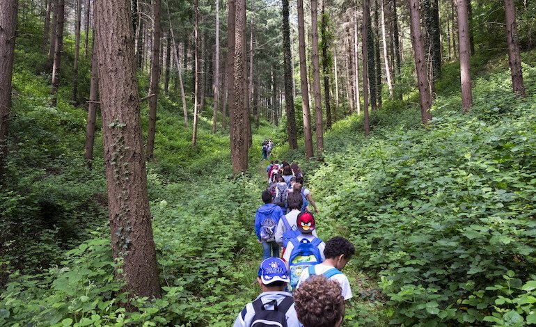 Preserviamo le nostre foreste per le generazioni future