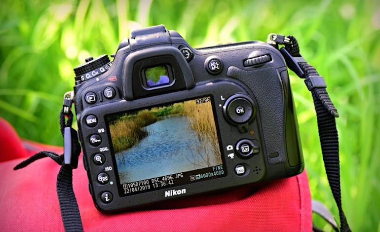 Un invito a cimentarsi con la fotografia naturalistica
